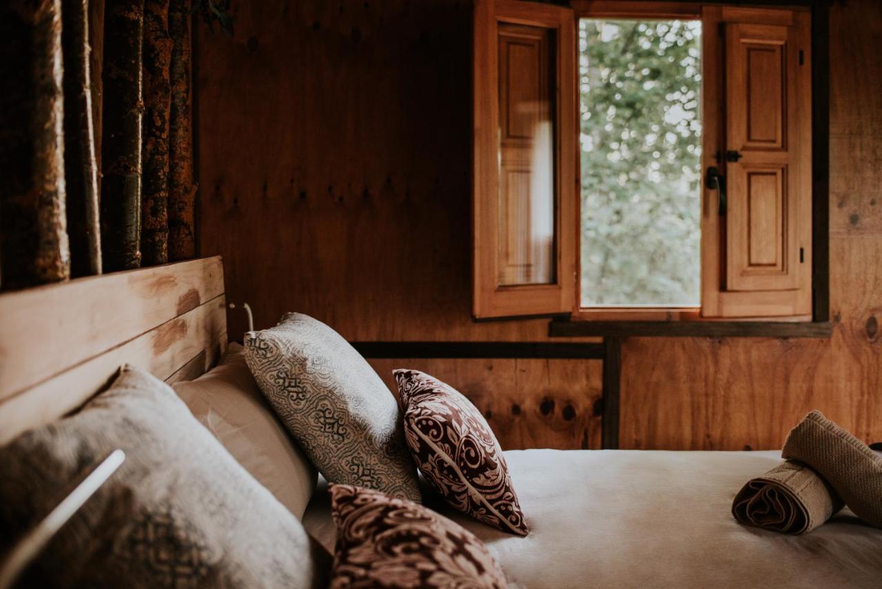 Durmiendo Entre Arboles, Bonita Cabana En La Rioja Anguciana Ngoại thất bức ảnh