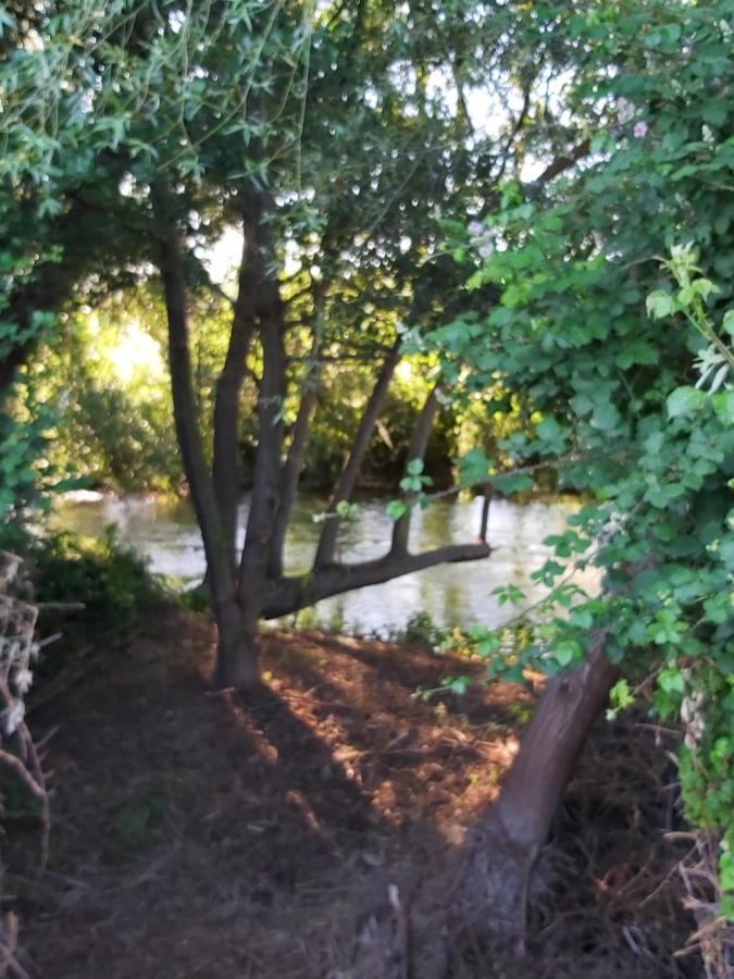 Durmiendo Entre Arboles, Bonita Cabana En La Rioja Anguciana Ngoại thất bức ảnh