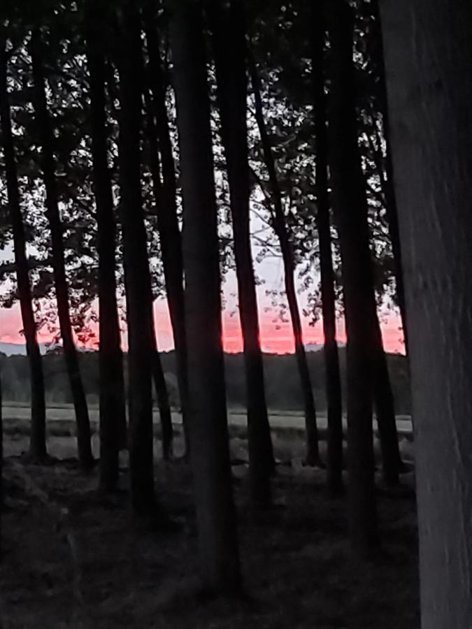 Durmiendo Entre Arboles, Bonita Cabana En La Rioja Anguciana Ngoại thất bức ảnh