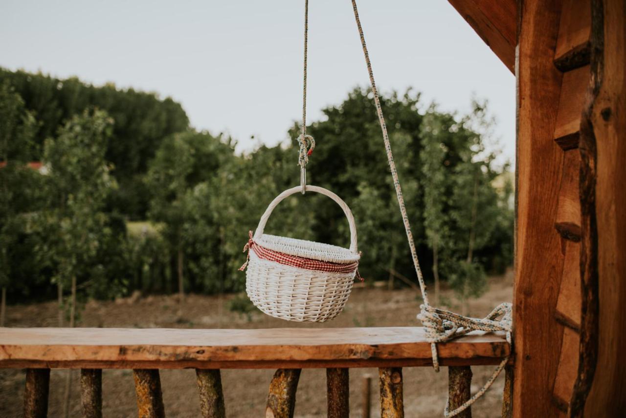 Durmiendo Entre Arboles, Bonita Cabana En La Rioja Anguciana Ngoại thất bức ảnh